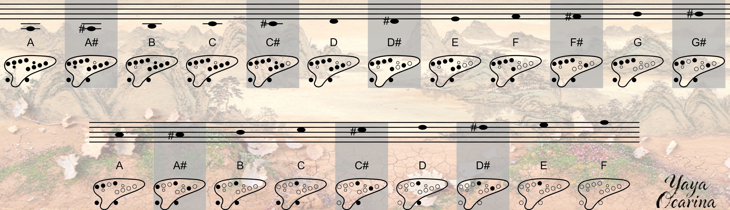 12-hole fingering chart